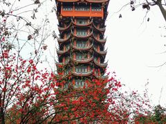 -塔子山公园