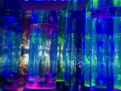 -海合安成都极地海洋公园