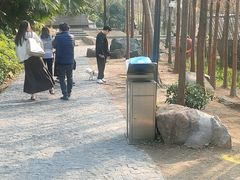 -福道