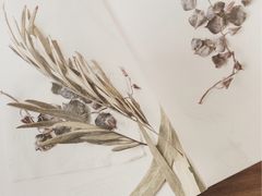 -梵几(东信·和创园店)