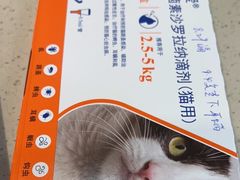 -睿金宠物医院·CT·肿瘤·骨外科