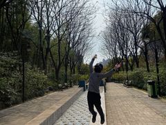 -苏州河梦清园环保主题公园