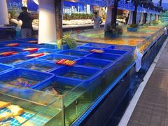 -驻海渔市(置信店)