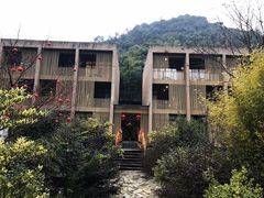 -看见远方·莫干遥远的山民宿