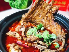 -沪小胖小龙虾(淮海中路旗舰店)