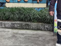 -南湖梦幻岛