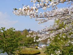 -上海辰山植物园