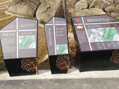 -白水寺森林公园