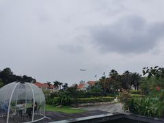 -厦门悦华酒店·绿庭主题自助餐厅
