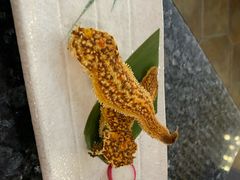 -菊上料理(蜀山银泰百货店)