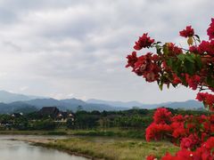 -中国科学院西双版纳热带植物园