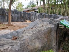 -武汉动物园