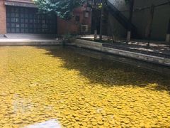 -中国艺术研究院油画院