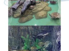 -重庆欢乐海底世界