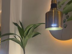 -探窝·竹笙椰子鸡(杨箕店)