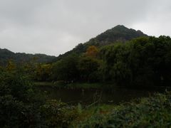 -八卦田遗址公园