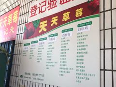 -青浦采草莓天天草莓园