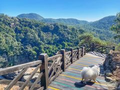 -九鲤湖风景区