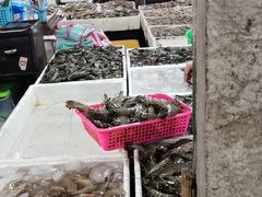 -金巴兰鱼市场