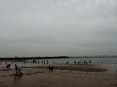 -八大关景区