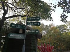 -紫金山天文台