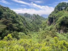 -王莽岭风景区