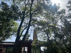 -白塔山公园
