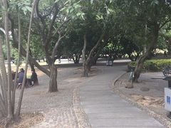 -四海公园(南山区)