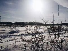 -北极村旅游风景区