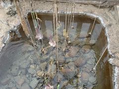 -天芳悦潭度假村温泉