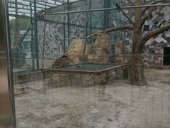 -宿豫区运河湾森林动物园