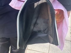 -佑安动物医院·全科·内窥镜中心(幸福巷店)