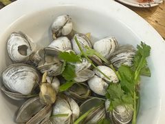 -渔家乐小海鲜(皇姑店)