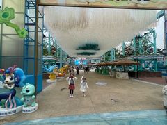 -海合安成都极地海洋公园