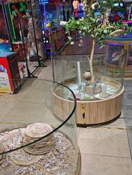 -卡通尼·Safari非洲探索乐园·生日会(金桥国际商业广场店)