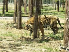 -秦皇岛野生动物园