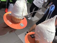 -野人先生现做冰淇淋(西安赛格店)