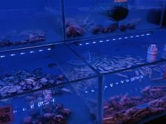 -万荟轩海鲜·粤式点心自助餐厅(蓝海风万怡酒店)