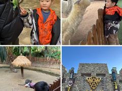 -呀路古热带植物园