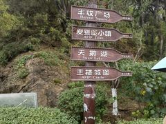 -北京张裕爱斐堡酒庄
