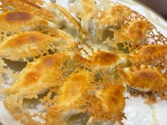 -石老头关东饺子王·东北菜(嘉华鑫城店)