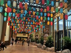 -杭州开元森泊度假乐园