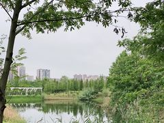 -眉山湿地公园(东坡区)