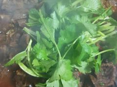 -味好美土菜(迎宾东路店)