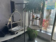 -岁粤Moon·湖景餐厅(月光码头店)