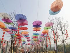 -三圣花乡旅游区