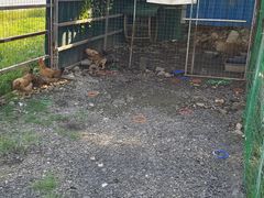 -粮心小农·大头虾亲子生态园(长发店)