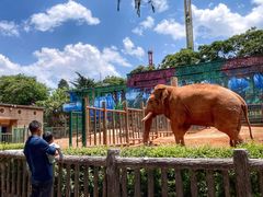 -昆明动物园
