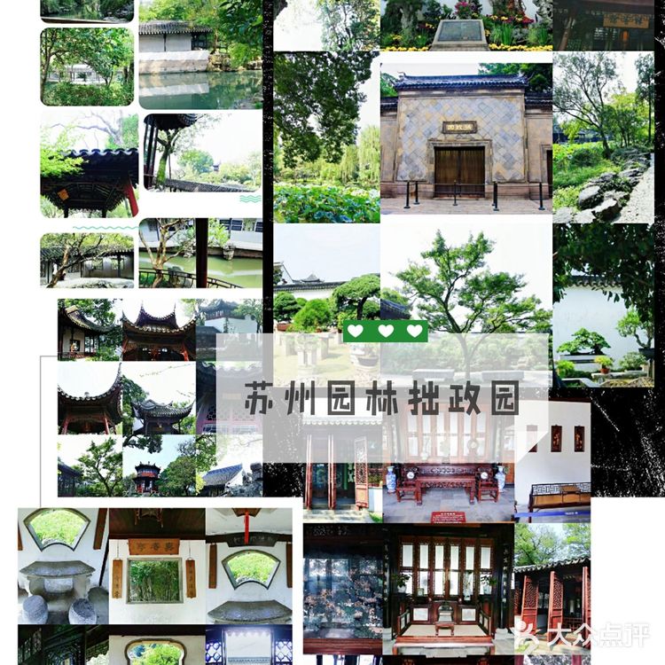 苏州园林单景点 | 拙政园打卡攻略  苏州园林名扬天
