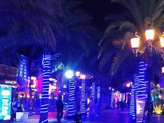 -三亚海昌梦幻海洋不夜城